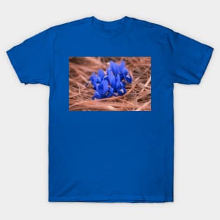 Irises T-Shirt